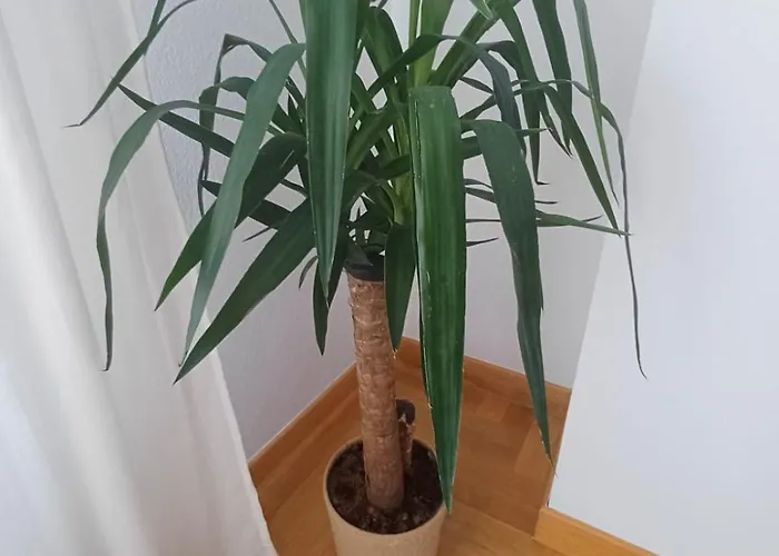 شقة Tartiere اوفيدو